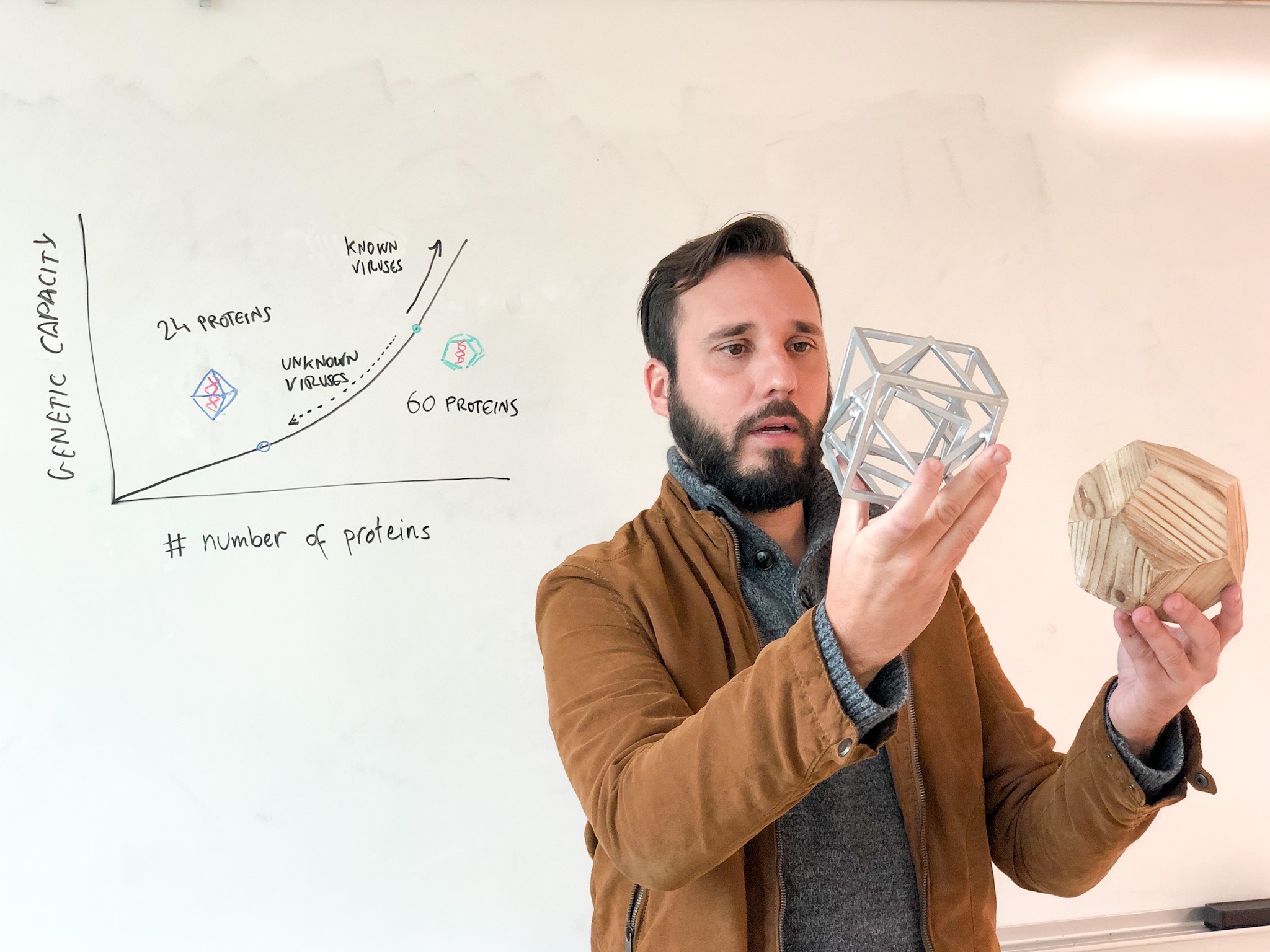 A man with brown hair and a beard holds two mathematical models of virus capsids, one of metal and one of wood, in front of a whiteboard. He is wearing a brown jacket and grey sweater.